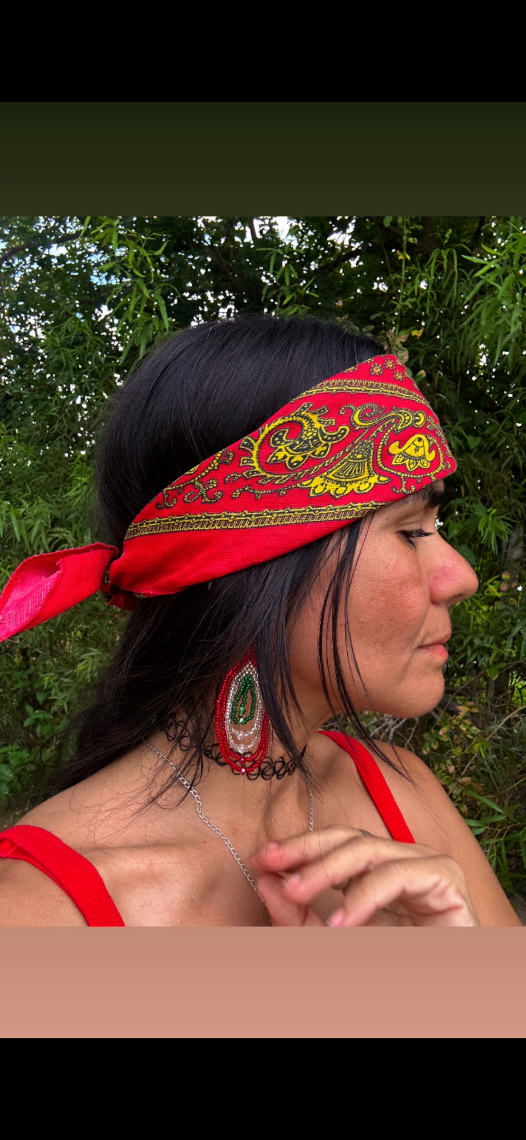 La patria Mexicana earrings
