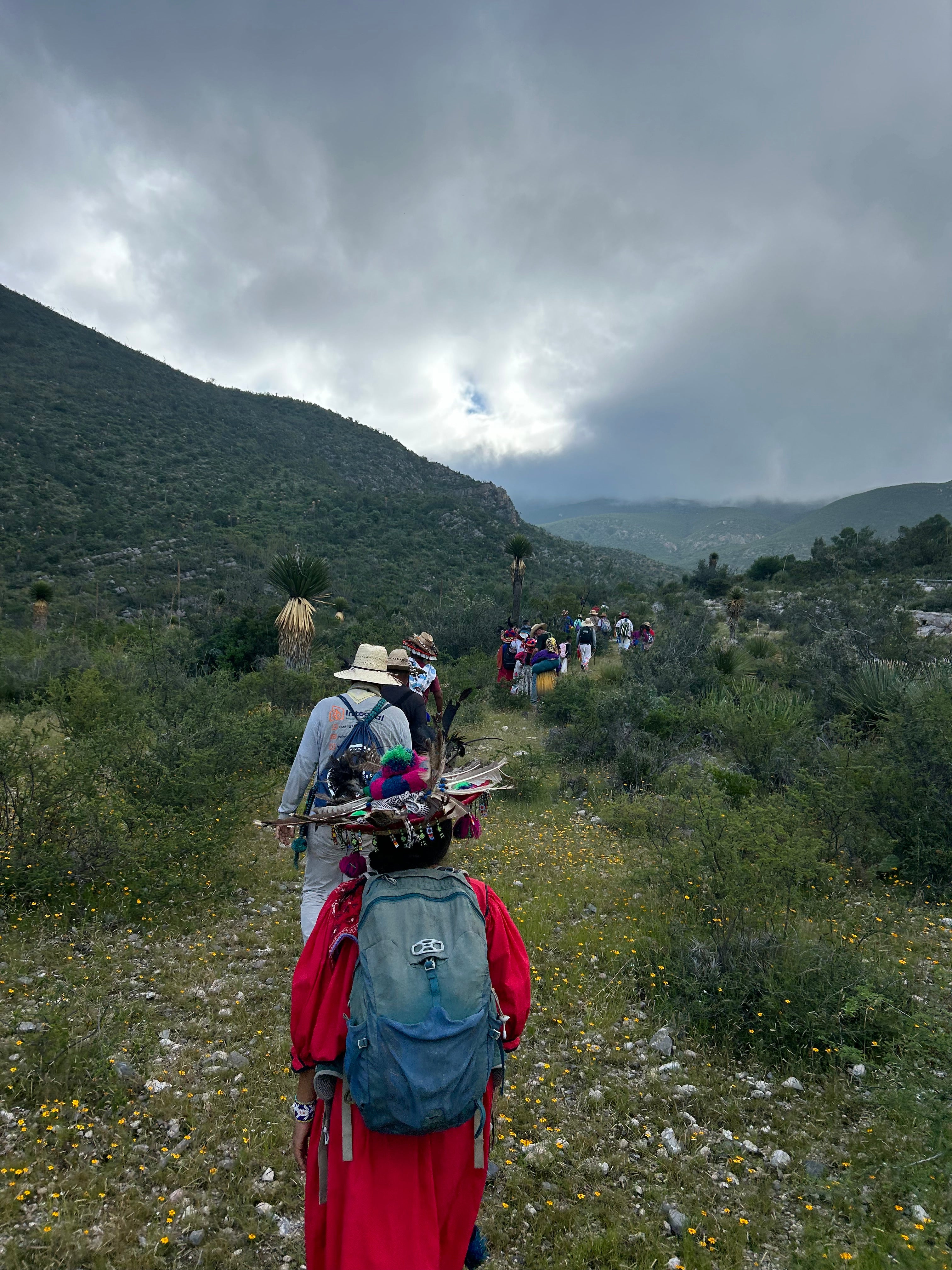 Donate to Our Mission