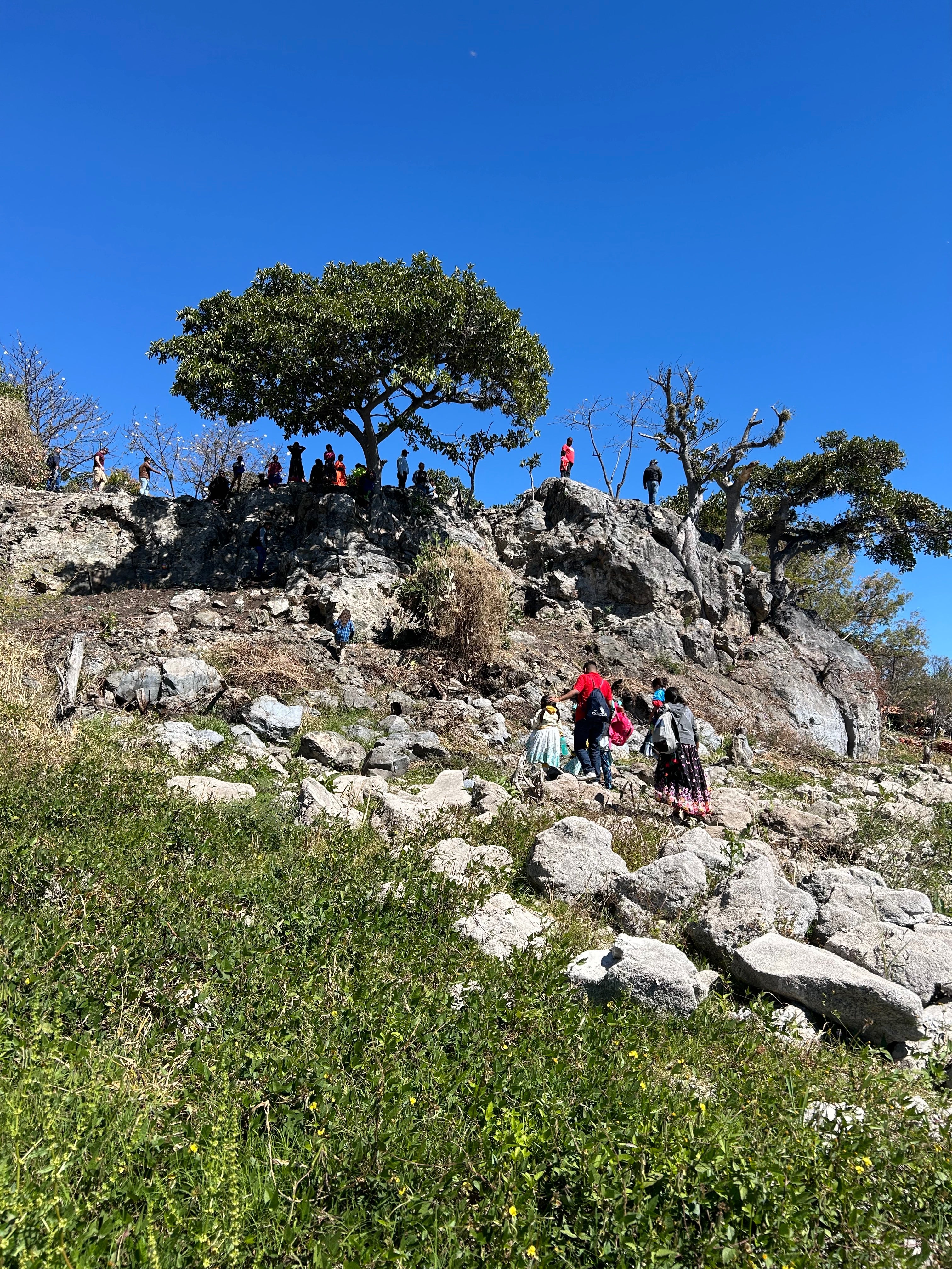 Donate to Our Mission